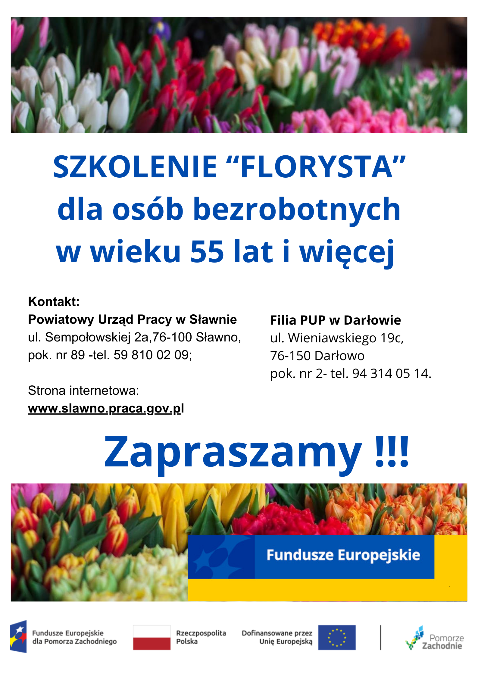 Plakat florysta